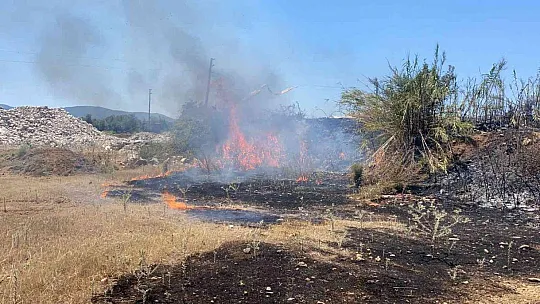 Fethiye'de tarım arazisinde çıkan yangın büyümeden söndürüldü
