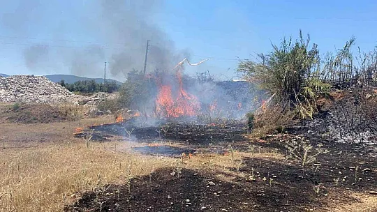 Fethiye'de tarım arazisinde çıkan yangın büyümeden söndürüldü