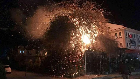 Fethiye'de trafo yangını korkuttu