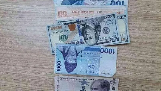 Fethiye'de, turistten döviz çaldığı öne sürülen zanlı tutuklandı