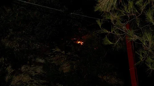 Fethiye'deki orman yangını kontrol altına alındı