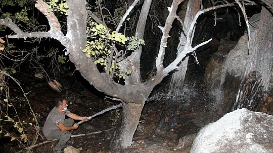 Fethiye'deki orman yangını kontrol altına alındı