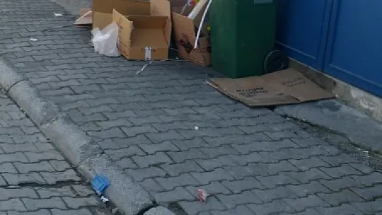 30 Hektarlık Alanda Büyük Temizlik