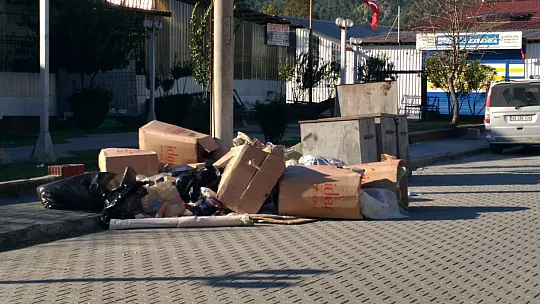 30 Hektarlık Alanda Büyük Temizlik