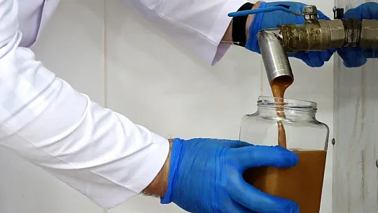 Fethiye Tahini'nde markalaşma adımları üreticileri sevindirdi