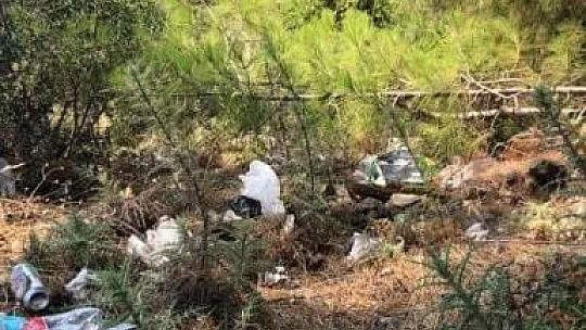 Yarımadadaki çöplere vatandaşlar tepki gösterdi