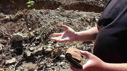 Fidan dikerken bulunan cüzdanın 20 yıl önce çalındığı ortaya çıktı