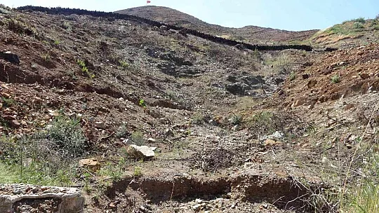 Fidan dikerken bulunan cüzdanın 20 yıl önce çalındığı ortaya çıktı