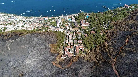 Fidan dikim seferberliği 11 Kasım'da