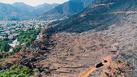 Fidan dikim seferberliği 11 Kasım'da