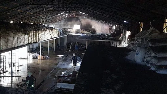 Fidan üretim tesisinde yangın