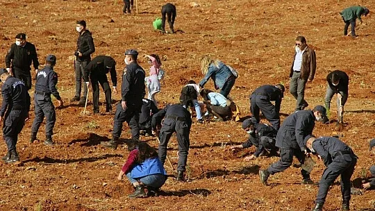 Fidanlar toprakla buluştu