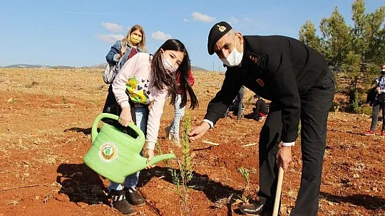 Fidanlar toprakla buluştu