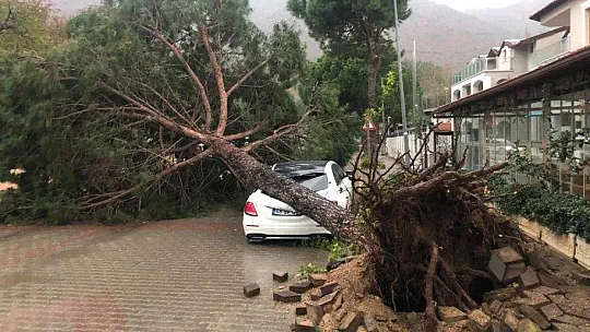 FIRTINA AĞAÇLARI DEVİRDİ, LÜKS ARAÇ VE BİR EV ZARAR GÖRDÜ