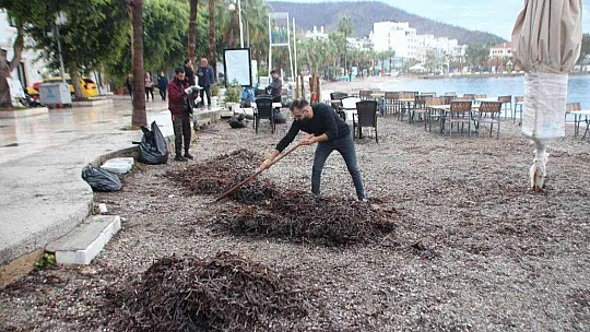 Fırtına sonrası temizlik yapıldı