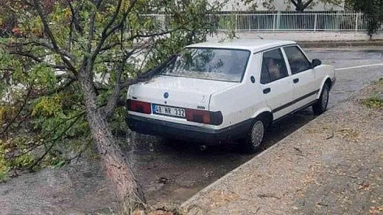 Fırtınada ağaç kökünden söküldü, aracın üzerine devrildi