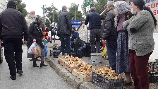 Fiyatını duyan ormana koştu, uzmanı uyardı