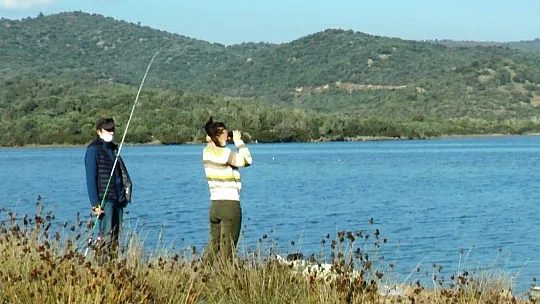 Flamingolar Bodrum'a çok erken geldi