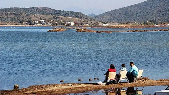 Flamingolar Bodrum'a çok erken geldi