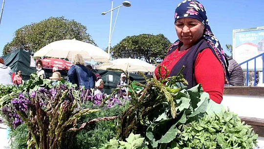 Göcek'te ot yemekleri festivaline ilgi yoğun oldu
