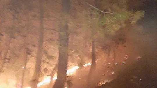 Göcek'teki orman yangını kontrol altına alındı