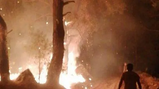 Göcek'teki orman yangını kontrol altına alındı