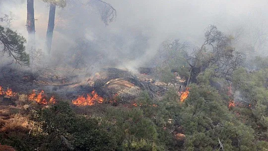 Gökbel Dağları alev alev yanıyor
