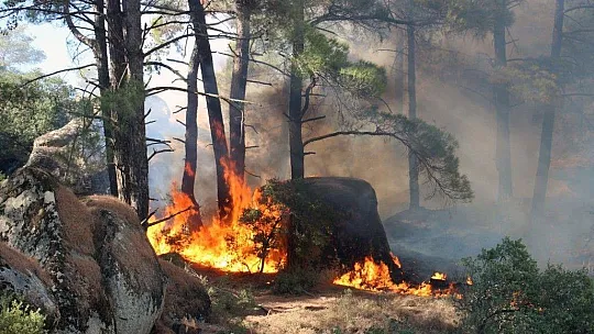 Gökbel Dağları alev alev yanıyor