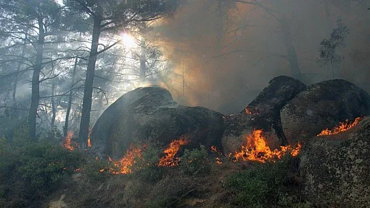 Gökbel Dağları alev alev yanıyor