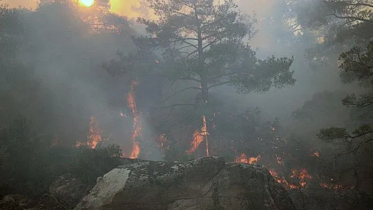Gökbel Dağları alev alev yanıyor