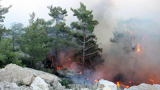 Gökbel Dağları alev alev yanıyor