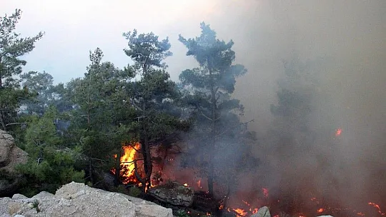 Gökbel Dağları alev alev yanıyor