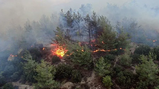 Gökbel Dağları alev alev yanıyor