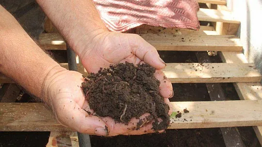 SOLUCAN GÜBRESİ İLE ORGANİK TARIM