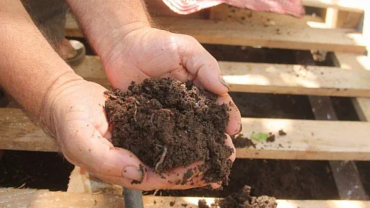 SOLUCAN GÜBRESİ İLE ORGANİK TARIM