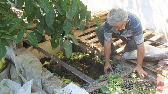 SOLUCAN GÜBRESİ İLE ORGANİK TARIM