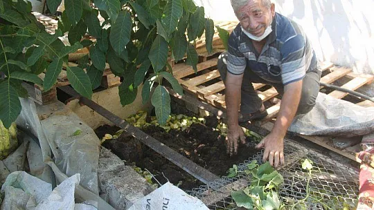 SOLUCAN GÜBRESİ İLE ORGANİK TARIM