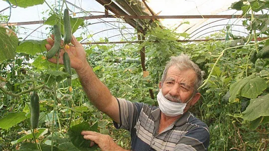 SOLUCAN GÜBRESİ İLE ORGANİK TARIM