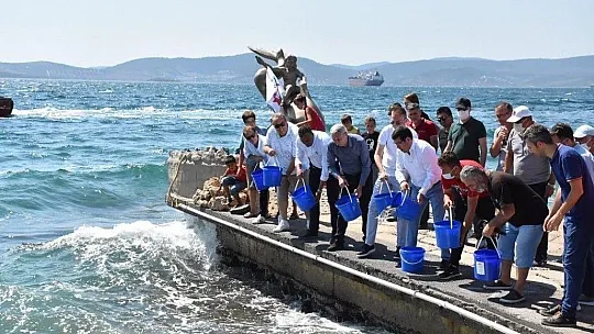 Güllük Körfezi'ne 30 bin levrek balığı yavrusu bırakıldı
