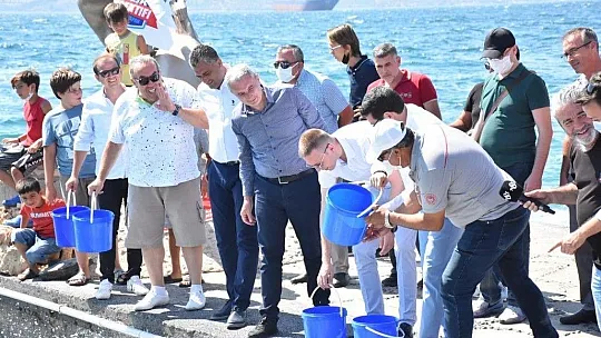 Güllük Körfezi'ne 30 bin levrek balığı yavrusu bırakıldı