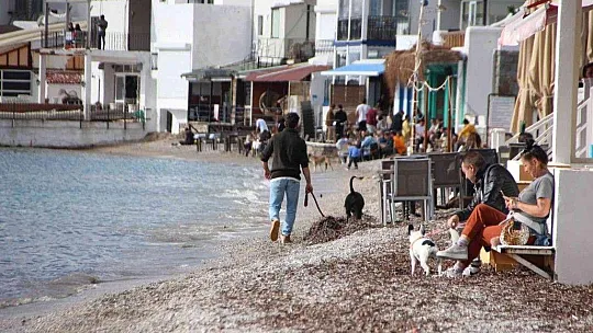 Güneş çıkınca soluğu denizde aldılar