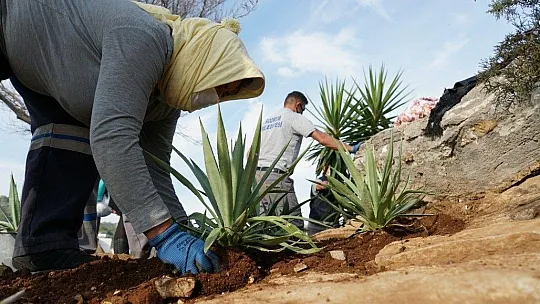 'Halikarnas Balıkçısı Seyir Terası' açıldı