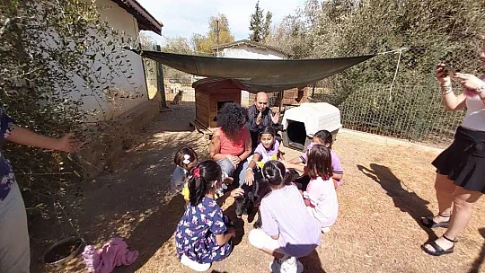 Harçlıklarını biriktirerek aldıkları mamaları barınağa teslim ettiler