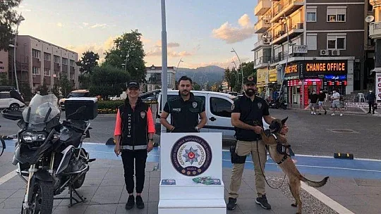 Hassas burun 'Coco' yılın köpeği seçildi