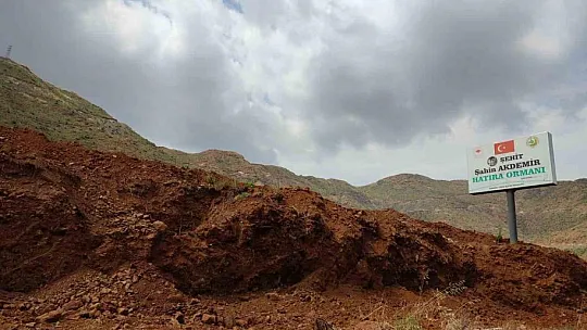 Hatıra Ormanı'nda dikilen fidanlar, toprağın altında kaldı