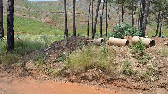 Hatıra Ormanı'nda dikilen fidanlar, toprağın altında kaldı