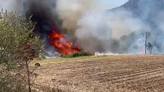 Hayvan çiftliğine sıçrayan yangın söndürülmeye çalışılıyor