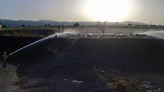 Hem tarla hem kovanlar yandı