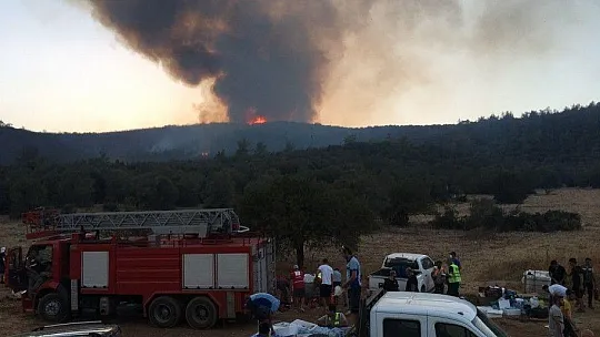 Herkes seferber oldu ama Kıyıkışlacık'ta alevler yeniden yükseldi