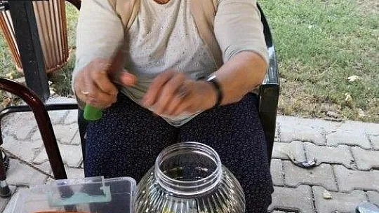 Huzurevinde hasat şenliği
